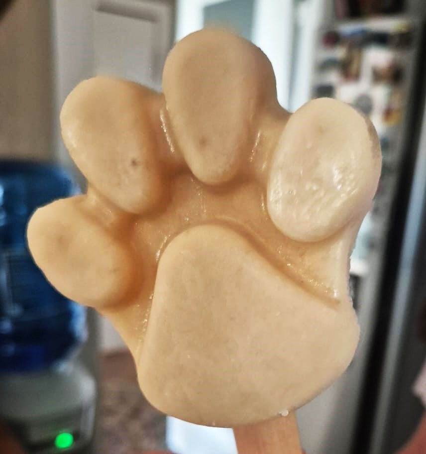 Helado para mascota de obsequio en Calafell | Heladería